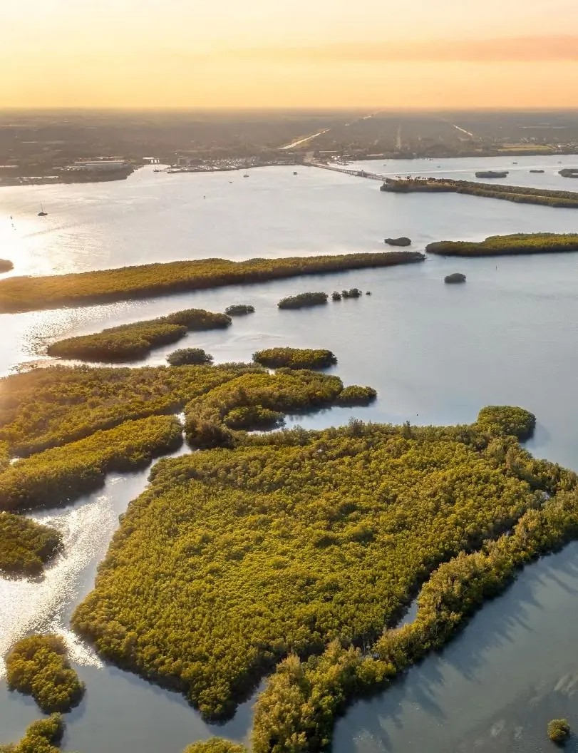 Mangrove islands in a Florida lagoon at sunrise